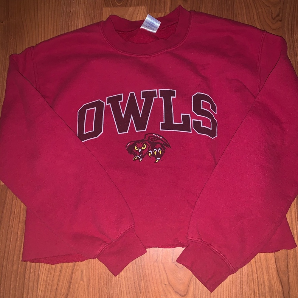 Temple Cropped Crewneck